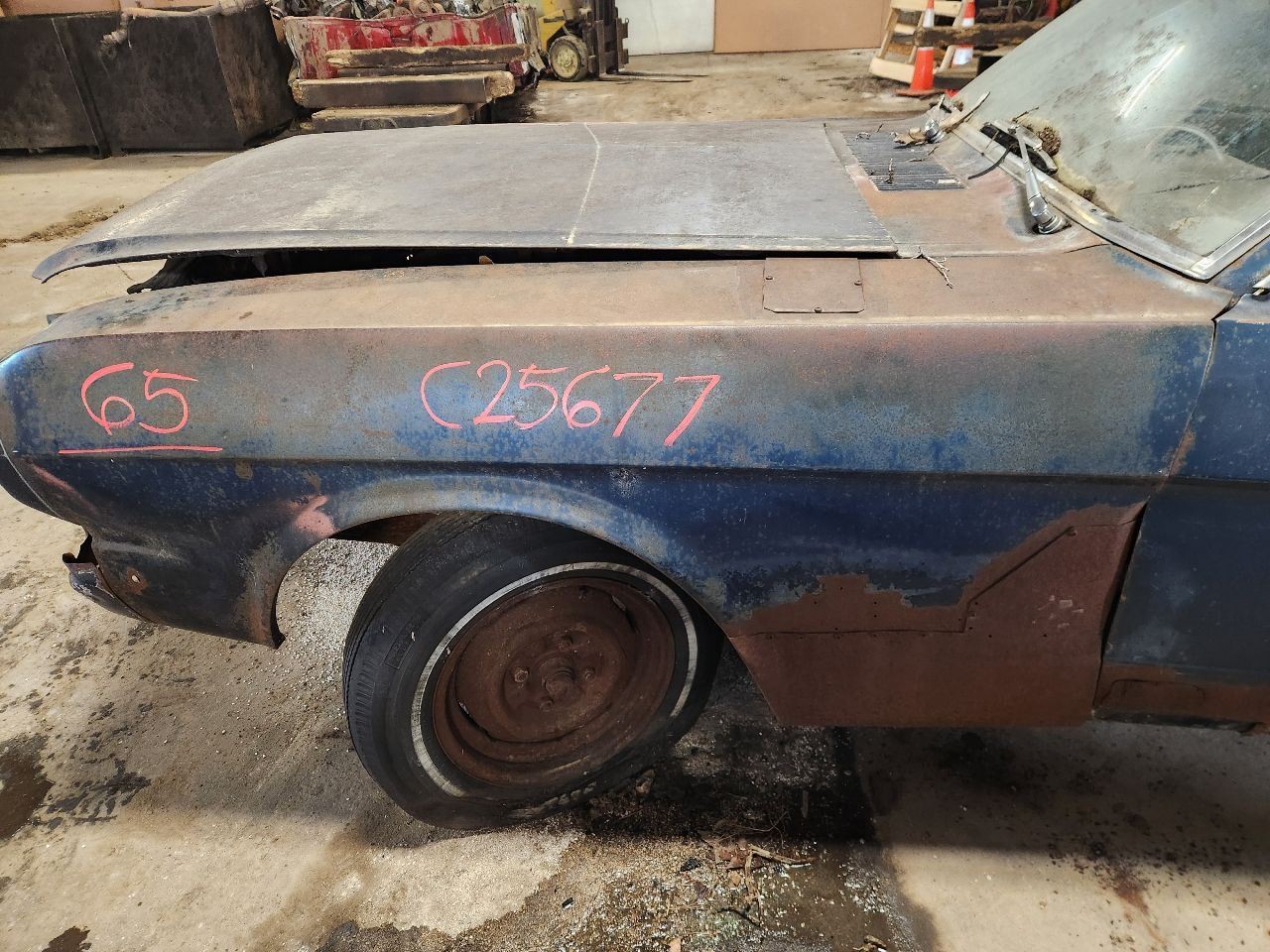 AM Radio Untested Fits 65-66 MUSTANG 1218073