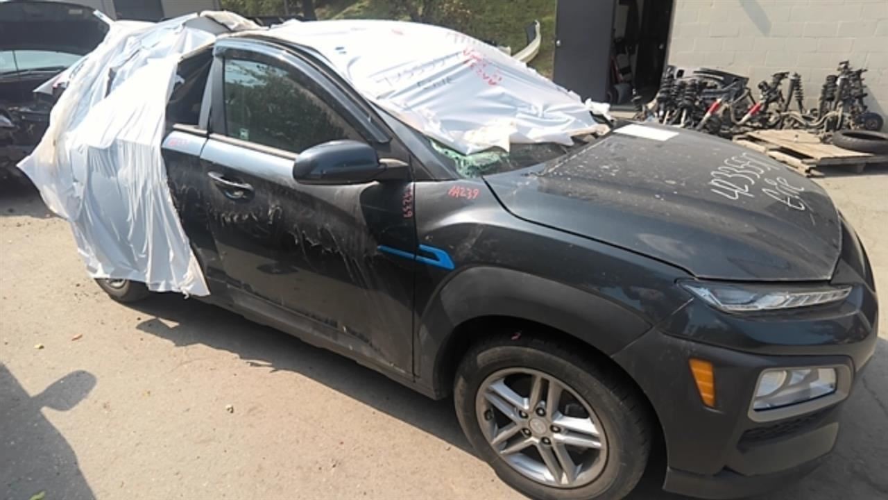 Radio Receiver Assembly US Market Fits 18-21 KONA 489823