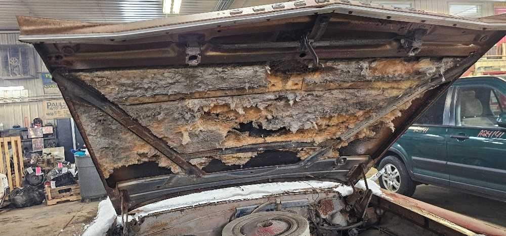 A/M RADIO untested Fits 1963 OLDSMOBILE SUPER 88 1067497