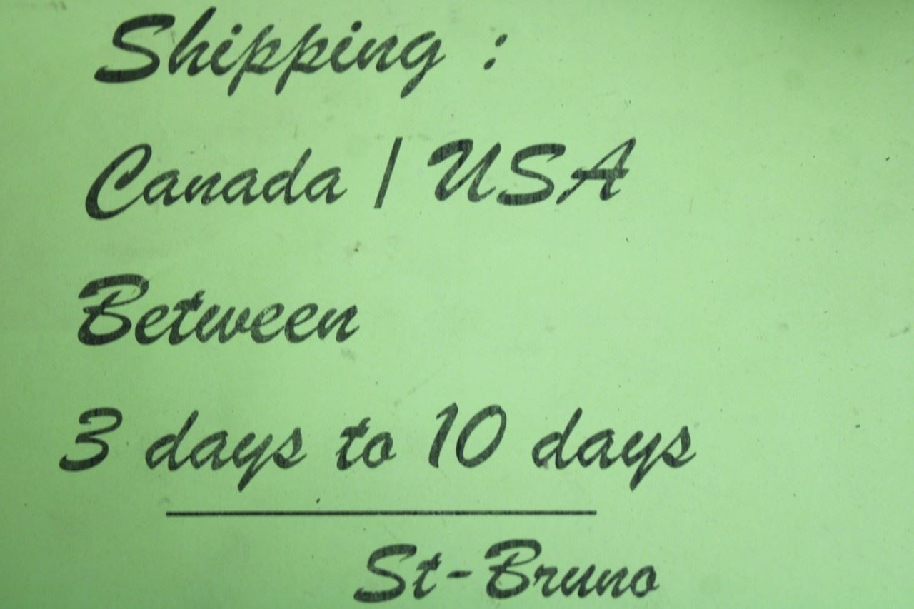 FREE SHIPPING ,U.S./Canada.3 days to 10 days.